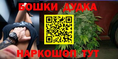 дживик Камышлов