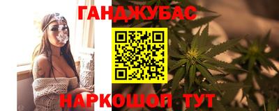 дживик Камышлов