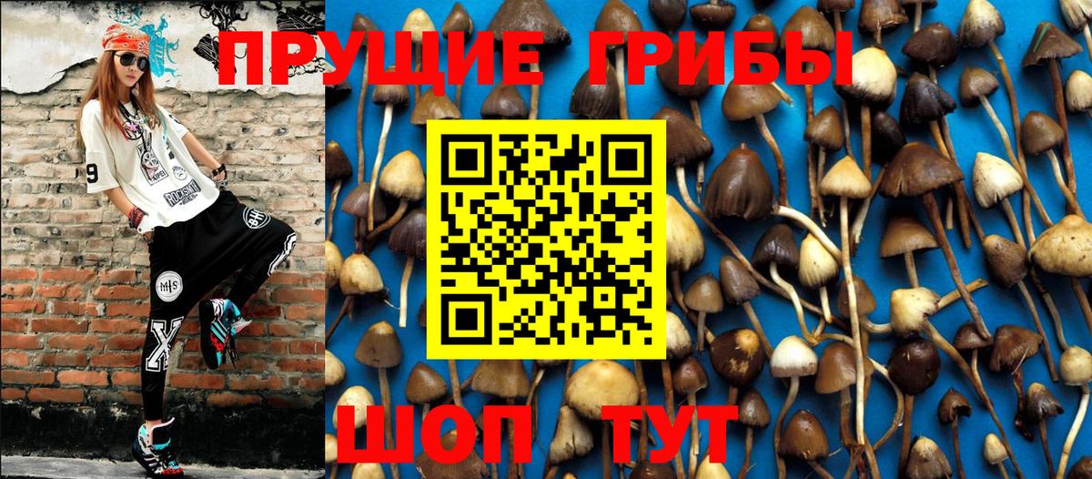 Галлюциногенные грибы мухоморы Конаково