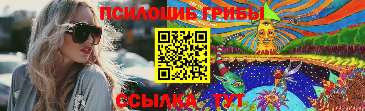 Псилоцибиновые грибы прущие грибы  Вход с VPN  Псилоцибиновые грибы мицелий  Конаково 
